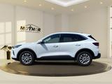 Ford Kuga 1.5 EcoBoost Titanium ACC PDC KAM360 LED - Ford Kuga in Leverkusen