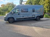 Roller Team Livingstone 2 / Fiat Ducato - Offers matching your search criteria