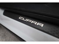 Cupra Terramar - Vorschau Bild 23