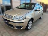 Fiat Punto Classic 1.2 5 porte Active - Fiat Punto: Class