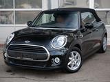 MINI Cabrio One LEDER SPORTSITZ BRAUN+CAMERA+SHZ+SALT - MINI One Cabrio mit Schiebedach