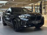 BMW X6 xD.40d M Sport Pro Integral Bowers AHK ACC 22 - schwarze BMW X6