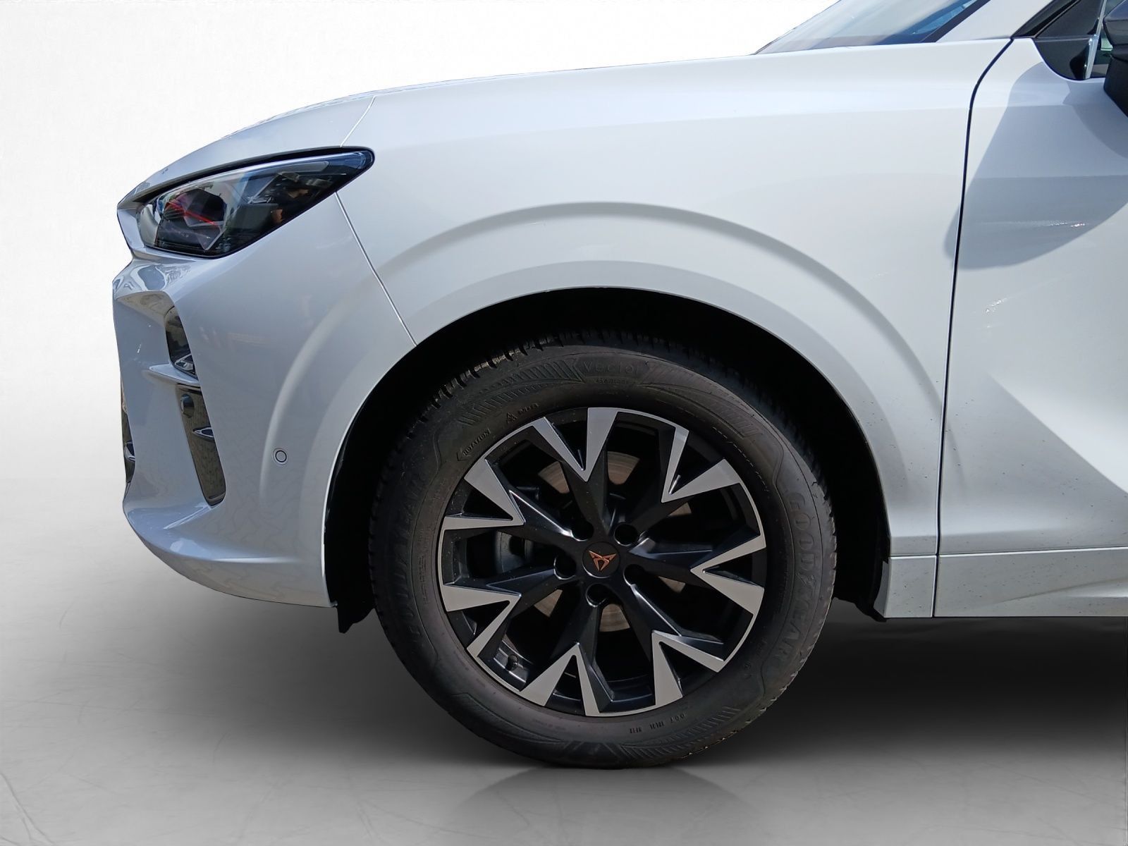 Cupra Terramar - Bild 14