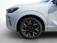 Cupra Terramar - Vorschau Bild 14