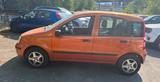 Fiat Panda 1.2 gepflegt, kein Rost, 2. Hand - gebrauchte Fiat Panda aus dem Jahr 2009