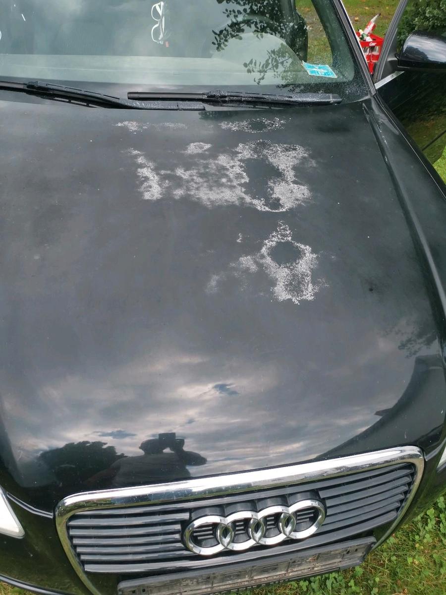 Audi A4 2007 — photo 9