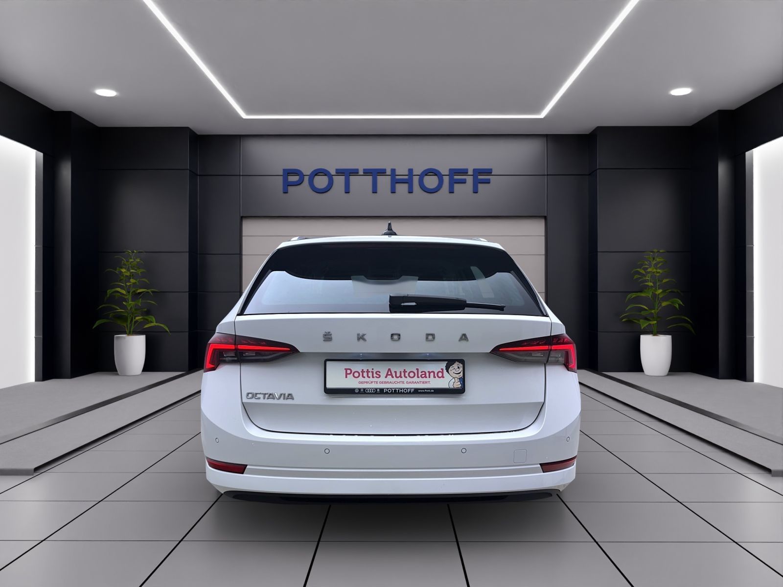 Skoda Octavia - Bild 4