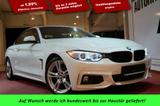 BMW 430 i Cabrio Sport Line*LED*Navi*Kamera* - BMW 430: Automatik