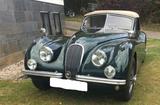 Jaguar *TRAUMWAGEN* in Traumzustand - Jaguar XK12... - Jaguar XK aus 1954