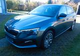 Skoda Scala Clever PDC-Kamera Sitzh. Tempom. LED - Skoda Scala: Clever