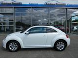 Volkswagen Beetle *2 HAND*PANORAMA*NAVI*PDC*AHK*SHZ* - Volkswagen Beetle mit Panoramadach