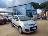 Fiat Panda 1.3 MJT 95 CV S&S Easy - Fiat Panda EASY mit Diesel-Antrieb