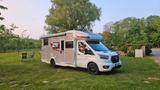 Ford Challenger 264 Graphite Premium Sonderedition - Ford Teilintegrierter