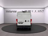 Fiat Ducato Kastenwagen L3H2 Multijet Hochdach verble - Fiat Ducato: 2.3