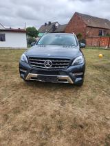 Mercedes-Benz ML 350 BlueTEC 4MATIC - - Mercedes-Benz ML 350 in Magdeburg