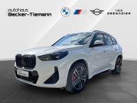BMW X1 - Vorschau Bild 1