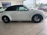 Volkswagen 2.0 TSI Cabriolet Autom. KLIMA LEDER R.CAM - Volkswagen Beetle Gebrauchtwagen