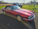Jaguar XJS 4.0 Traumcabrio - Jaguar aus 1997