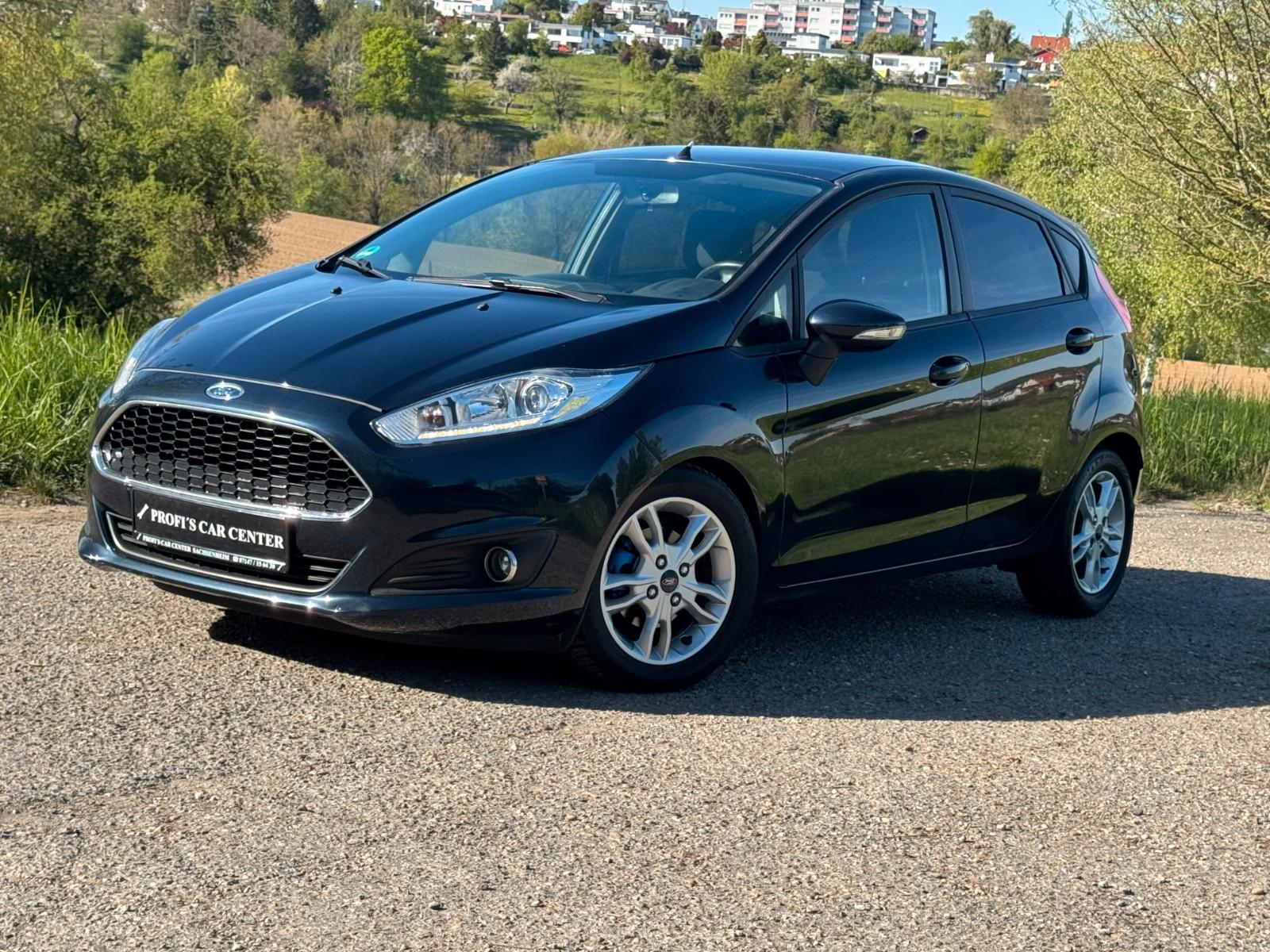 Ford Fiesta Celebration | 2. HAND, SITZHEIZNG
