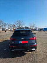 Audi Q5 55 TFSI e S tronic quattro design design - Audi Q5 mit Hybrid-Antrieb: Design