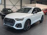 Audi SQ5 TDI quattro tiptronic 8-fach 1.Hand - Audi SQ5 in Mannheim