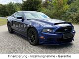 Ford Mustang 3.7 AUTOMATIK-SHELBY OPTIK-XENON-SHZ - Ford Mustang: Shelby