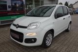 Fiat Panda 1,2 i Easy KLIMA/5-Türig/SERVO/CITY-DRIVE - Fiat Panda: 2t