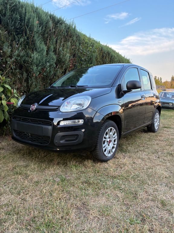 Image of Fiat Panda