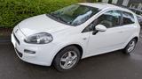 Fiat Punto 1.2/ Erstzulassung 2013 - Fiat Punto in Duisburg