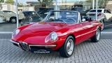 Alfa Romeo Spider 2.0 Junior Rundheck - deutsche Auslief.. - aus 1969: Cabrio