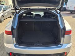 Fahrzeugabbildung E-Pace SE AWD D165 Mild-Hybrid EU6d
