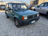 Fiat Panda 1100 i.e. cat Young - Fiat Panda: Young
