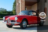 Alfa Romeo Giulia Spider - RDS01661 - Alfa Romeo Giulia: Cabrio