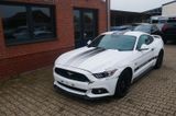 Ford Mustang GT Performance Leder EU mit COC - Ford Mustang: Performance