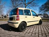Fiat Panda 169 - Fiat Panda in Halle