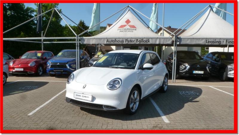 GWM Ora 03 300 wenig Kilometer