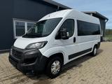 Fiat Ducato 140 L2H2 9-Sitzer - Schalter - Klima - Fiat 9-Sitzer
