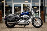 Harley-Davidson Sportster XL1200C Custom - JEKILL&HYDE - - HARLEY-DAVIDSON SPORTSTER 1200 XL CUSTOM