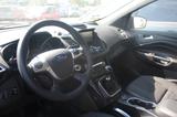 Ford Kuga 1,5L EcoBoost 4x2 110kW Titanium - Ford Kuga: 2.5