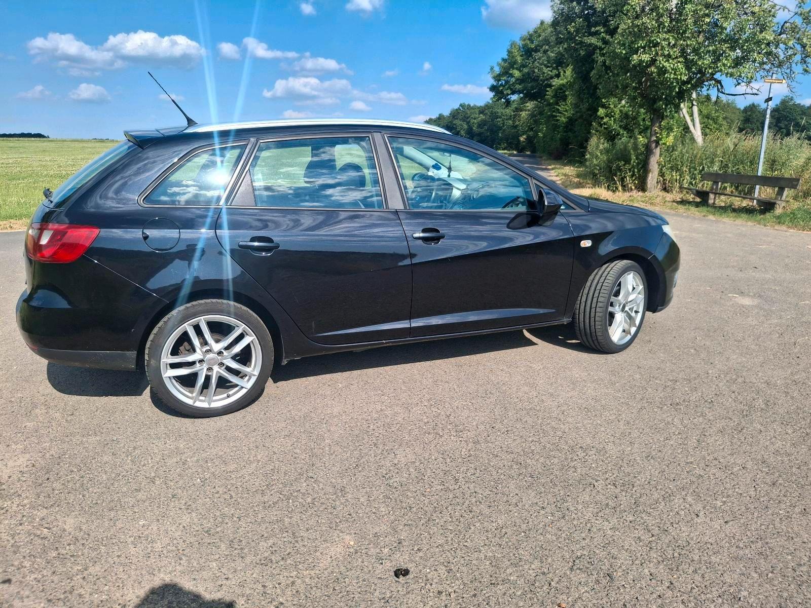Seat Ibiza 2010 — rear view