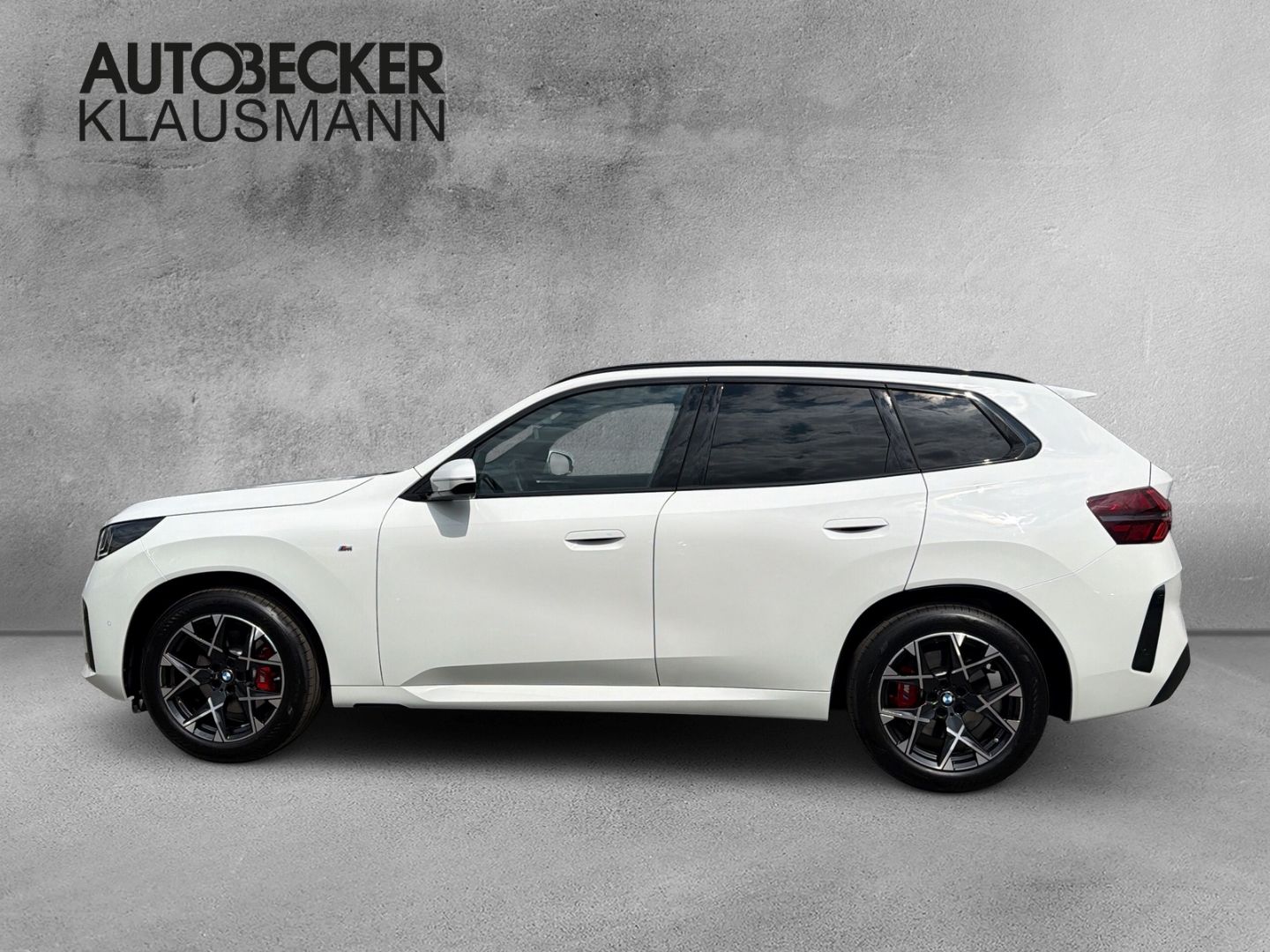 BMW X3 20d xDrive M SPORT PRO 19'' AHK MEMORY PARK foto 3