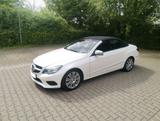 Mercedes-Benz Cabrio Leder Navi 8x Alu AirScarf Designo Lack - Mercedes-Benz E 200 in Halle