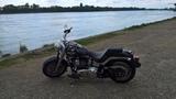 Harley-Davidson FAT BOY TYP FLSTFI 1. Hand unfallfrei! - HARLEY-DAVIDSON FLSTF FAT BOY