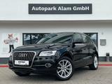 Audi Q5 2.0 TDI quatt S-Line AHK Leder Navi SHZ Temp - gebrauchte Audi Q5 aus dem Jahr 2015