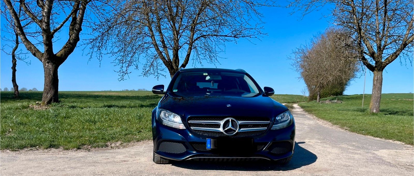 MERCEDES-BENZ Mercedes-Benz C 220 Bleu-Tec
