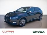 Skoda Fabia Selection 1.5TSI DSG NAV.Lenk-HZG.KAM.WINT