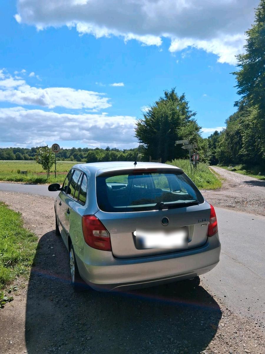 Skoda Fabia 2011 — photo 5