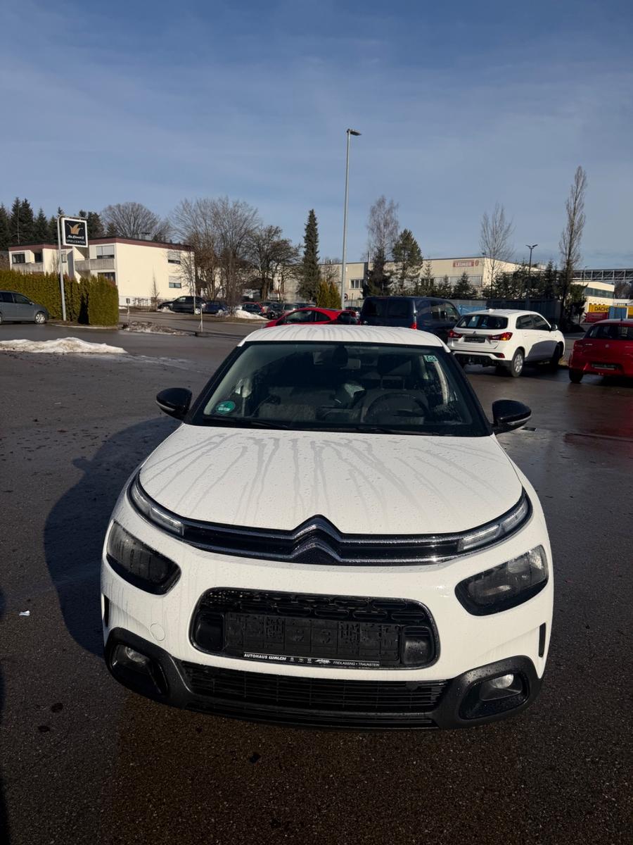 Citroën C4 Cactus Feel