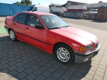 BMW 316 - 4