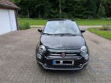 Fiat 500 1.2 8V Lounge Lounge - Fiat 500: Privatanbieter